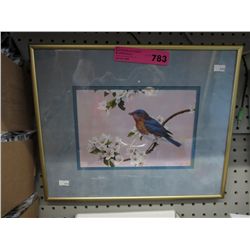 Framed print "Eastern Bluebird" by Luke Raffin