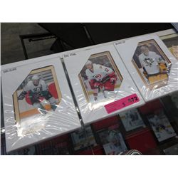 3 Sealed framed hockey photo's