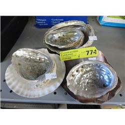 6 Sea shells