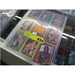 7 Pages of 1991 Pro Wrestling cards
