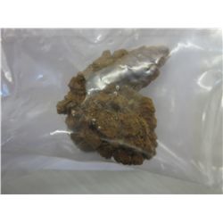 Authentic, genuine Jurassic dinosaur feces