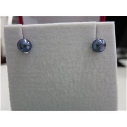 Brand new 14kt gold black pearl earrings
