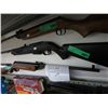 Image 1 : Pellet gun