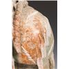Image 2 : Gail Jones Sundell, alabaster