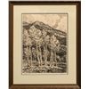 Image 1 : Birger Sandzen, lithograph