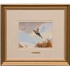 Image 1 : Eldridge Hardie, watercolor