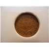 Image 2 : 1900 Indian Head Cent