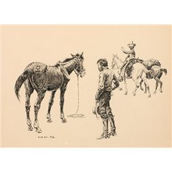 Turn him out Senior [sic], he'll give you the ride of your life. Brewster's - Equus Mexicanus