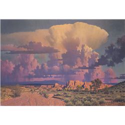 Waiting on the Summer Rain