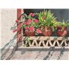 Image 1 : Flowers on the Sill