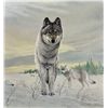 Image 1 : Wolf