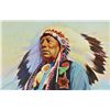 Image 1 : Indian Chief