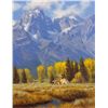 Image 1 : Teton Summer