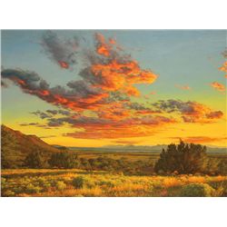 New Mexico Landscape