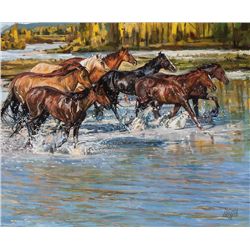 Shallow River