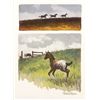 Image 1 : Appaloosa Colt (two images on one board)