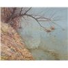 Image 1 : Tree by Pond