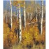 Image 1 : Aspen