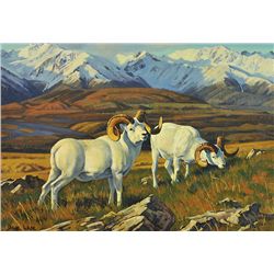 Fossil Creek Rams