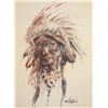 Image 1 : Native American Chief
