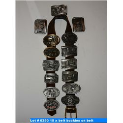 15 x belt buckles on belt