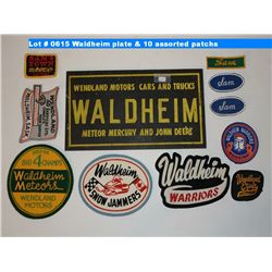 Waldheim plate & 10 assorted patchs