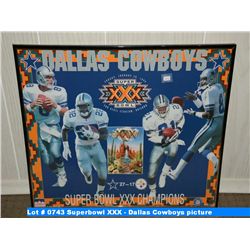 Superbowl XXX - Dallas Cowboys picture