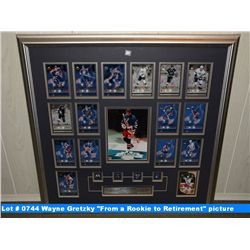 Wayne Gretzky "From a Rookie to Retirement" picture