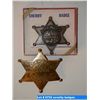 Image 1 : Arizone Sheriff & Licensed Junk Collector badges