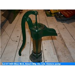 Blue Bird, Smart Mfg. Co. Ltd. Cistern pump