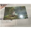 Image 2 : LOT 6 VINTAGE POSTCARD, NOTE PAD, CALENDARS