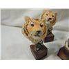 Image 2 : LOT 8 ASSORTED SAFARI ANIMAL BUSTS