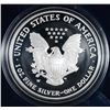 Image 2 : 2005 PROOF AMERICAN SILVER EAGLE IN  ORIGINAL BOX WITH CERT