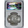 Image 4 : 1901-O Morgan Dollar NGC MS-66