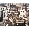 Image 3 : ANTIQUE MOUNTED PHOTO OF CHERRY STEAMER SUMMER CANNERY