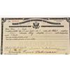 Image 2 : 1918 UNITED STATES CERTIFICATE OF NATURALIZATION