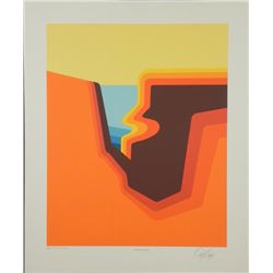 Doug Danz Signed Landscape Print Proof Earthwatch IV