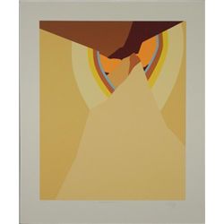 Doug Danz Signed Geometric Valley Print Proof Terra II