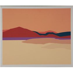 Doug Danz Signed Modern Southwest Proof Print Strata A