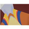 Image 2 : Doug Danz Signed Abstract Canyon Print Proof Terra III