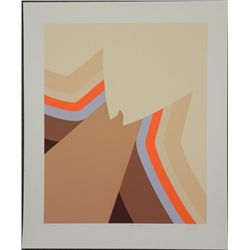 Doug Danz Signed Abstract Print Proof Phoenix V