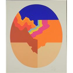 Doug Danz Signed Abstract Proof Print Canyon IV