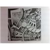 Image 1 : Print Gallery by M. C. Escher