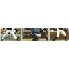Image 2 : Lot of (3) Cubs Signed 8x10 Photos with (2) Koyie Hill, Randy Wells (PA LOA)