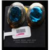 Image 1 : Sterling Earrings