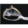 Image 2 : White Gold Ring 10k