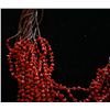 Image 3 : Red Coral Necklace