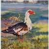Image 1 : Simon Michael "Duck" Painting