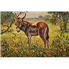 Image 1 : Simon Michael "Burro" Oil On Canvas