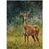 Image 1 : Simon Michael "Antlerless Deer" Oil On Canvas